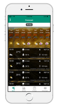 Load image into Gallery viewer, METOS® VWS - virtual weather station with weather forecast subscription (1 year)