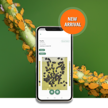 Load image into Gallery viewer, Digital Insect Detector
