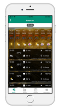 Load image into Gallery viewer, METOS® VWS - virtual weather station with weather forecast subscription (1 year)
